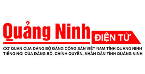 THỂ THAO 第45页