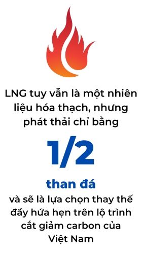 Trường đua chó nổi tiếng nhất Việt Nam là gì