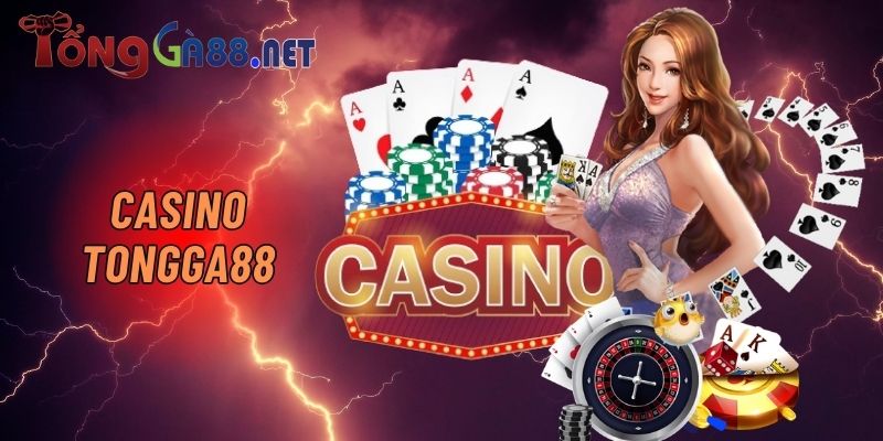 CASINO 第17页